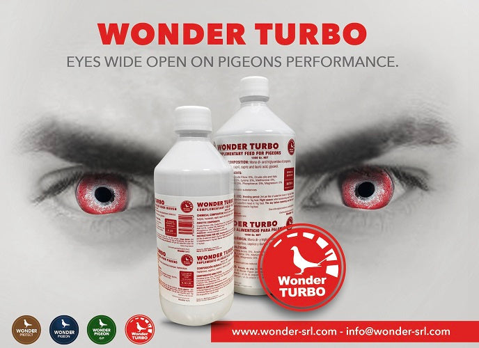 Wonder Pigeon Turbo